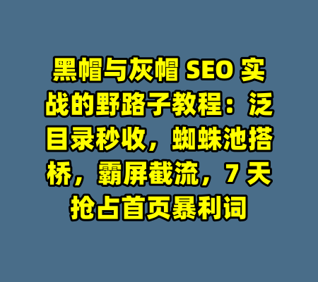 黑帽与灰帽 SEO 实战的野路子教程：泛目录秒收，蜘蛛池搭桥，霸屏截流，7 天抢占首页暴利词-99资源站