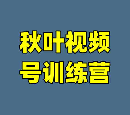 秋叶视频号训练营-99资源站