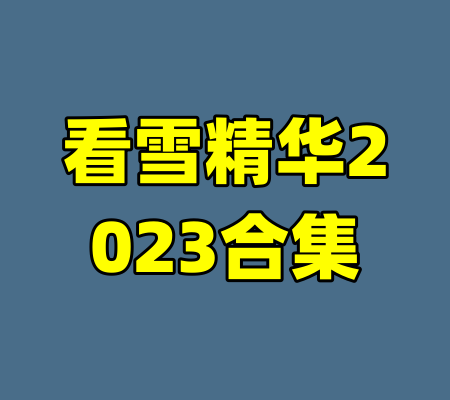看雪精华2023合集-99资源站