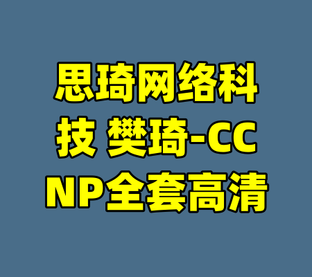 思琦网络科技 樊琦-CCNP全套高清-99资源站