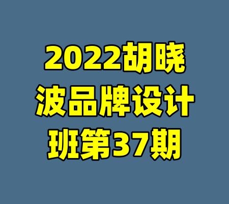 2022胡晓波品牌设计班第37期-99资源站