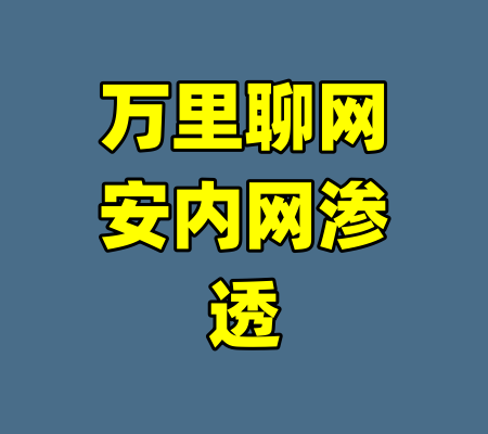 万里聊网安内网渗透-99资源站