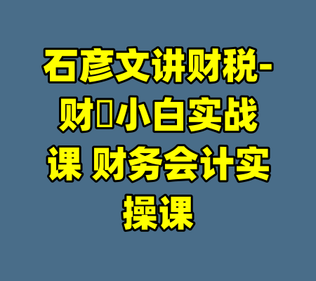 石彦文讲财税-财稅小白实战课 财务会计实操课-99资源站