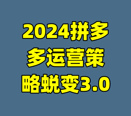 2024拼多多运营策略蜕变3.0-99资源站