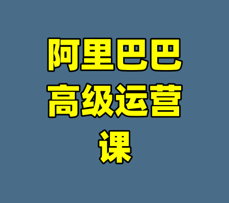 阿里巴巴高级运营课-99资源站