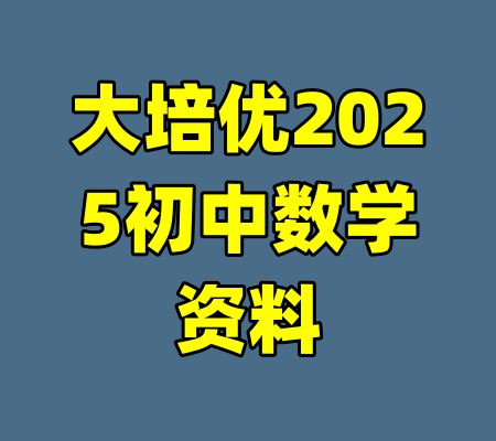 大培优2025初中数学资料-99资源站