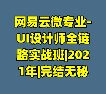 网易云微专业-UI设计师全链路实战班|2021年|完结无秘-99资源站