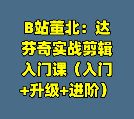 B站董北：达芬奇实战剪辑入门课（入门+升级+进阶）-99资源站