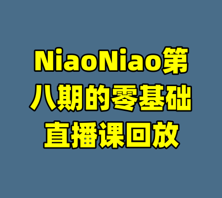 NiaoNiao第八期的零基础直播课回放-99资源站