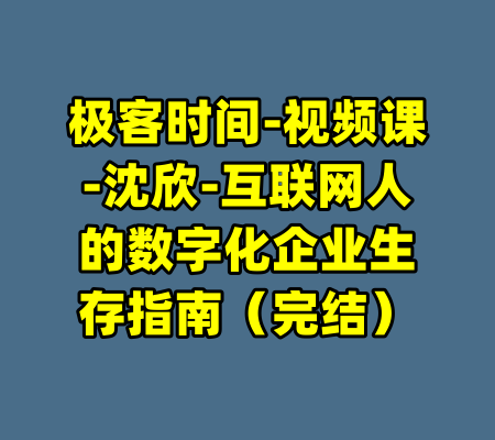 极客时间-视频课-沈欣-互联网人的数字化企业生存指南（完结）