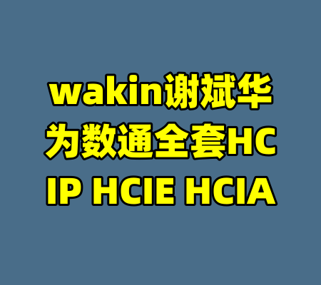 wakin谢斌华为数通全套HCIP HCIE HCIA-99资源站