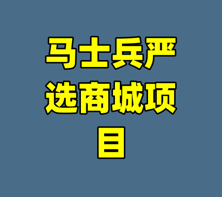 马士兵严选商城项目-99资源站