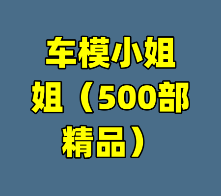 车模小姐姐（500部精品）