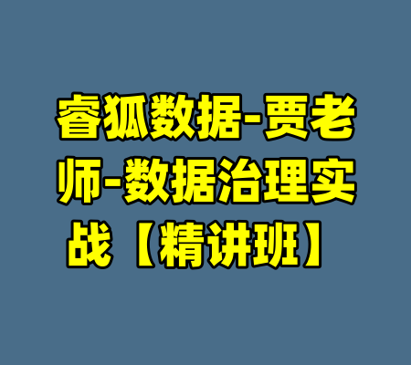 睿狐数据-贾老师-数据治理实战【精讲班】