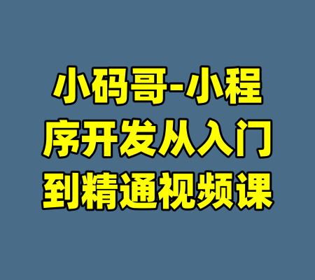 小码哥-小程序开发从入门到精通视频课-99资源站