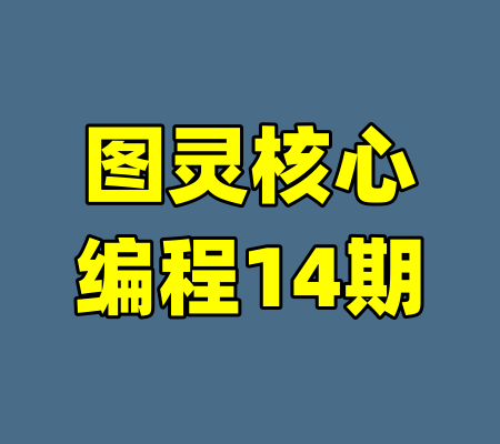 图灵核心编程14期-99资源站
