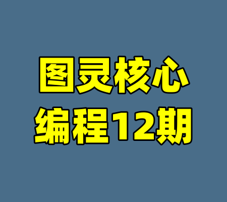 图灵核心编程12期-99资源站