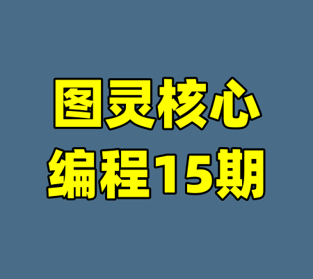 图灵核心编程15期-99资源站