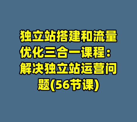 独立站搭建和流量优化三合一课程：解决独立站运营问题(56节课)