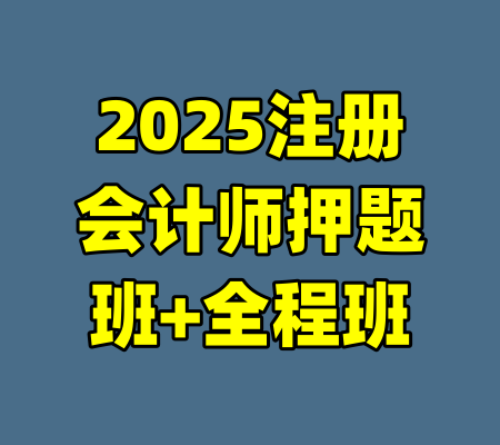 2025注册会计师押题班+全程班-99资源站