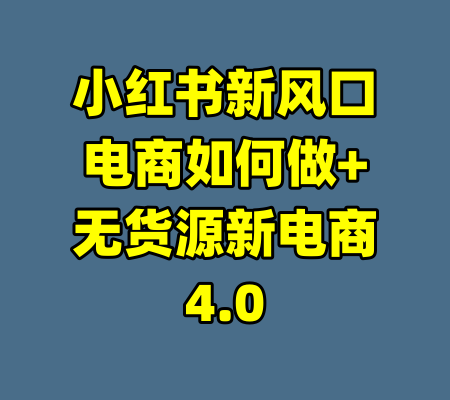 小红书新风口电商如何做+无货源新电商4.0-99资源站