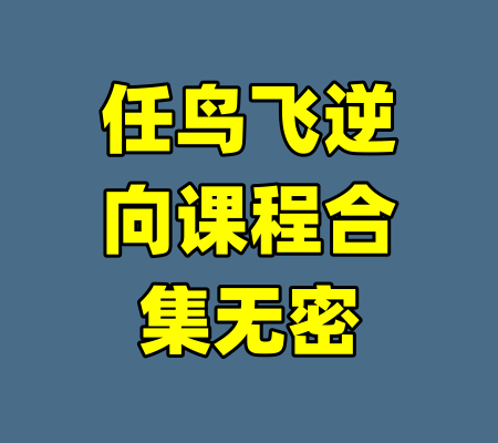 任鸟飞逆向课程合集无密