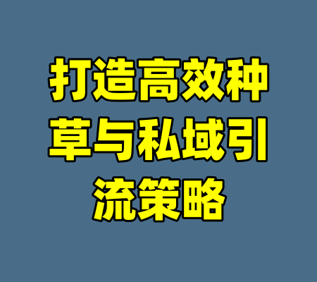 打造高效种草与私域引流策略