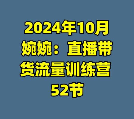 2024年10月婉婉:直播带货流量训练营 52节