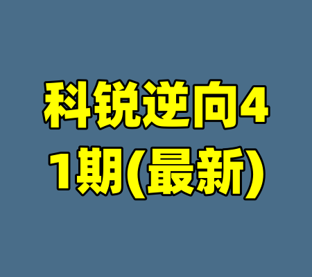 科锐逆向41期(最新)-99资源站