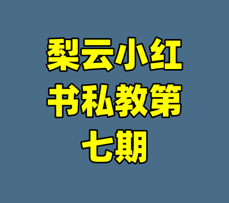 梨云小红书私教第七期-99资源站