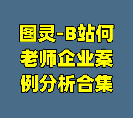 图灵-B站何老师企业案例分析合集-99资源站