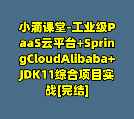 小滴课堂-工业级PaaS云平台+SpringCloudAlibaba+JDK11综合项目实战[完结]-99资源站