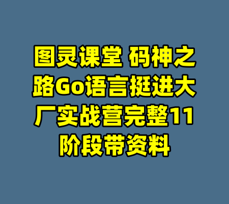 图灵课堂 码神之路Go语言挺进大厂实战营完整11阶段带资料-99资源站
