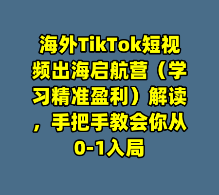 海外TikTok短视频出海启航营(学习精准盈利)解读,手把手教会你从0-1入局