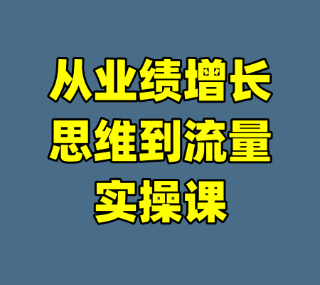 从业绩增长思维到流量实操课-99资源站