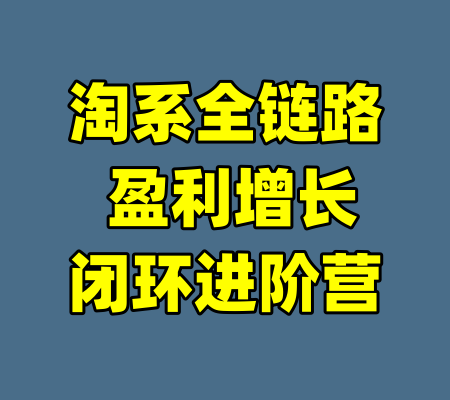 淘系全链路 盈利增长闭环进阶营