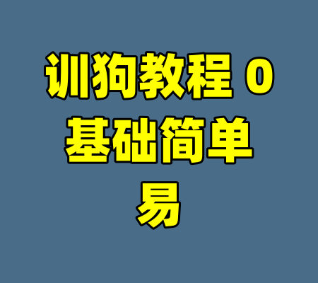 训狗教程 0基础简单易
