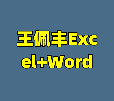 王佩丰Excel+Word-99资源站
