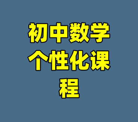 初中数学个性化课程-99资源站