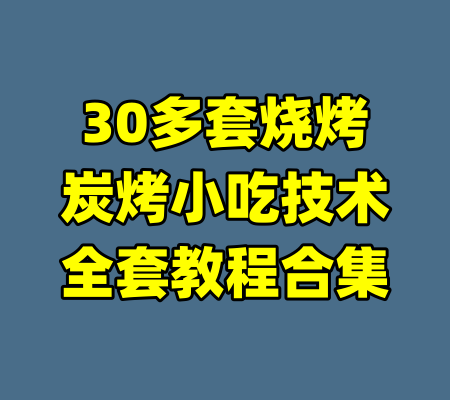 30多套烧烤炭烤小吃技术全套教程合集-99资源站
