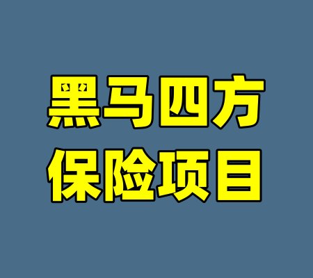 黑马四方保险项目