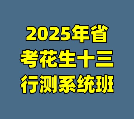 2025年省考花生十三行测系统班