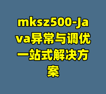 mksz500-Java异常与调优一站式解决方案-99资源站