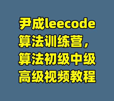尹成leecode算法训练营,算法初级中级高级视频教程