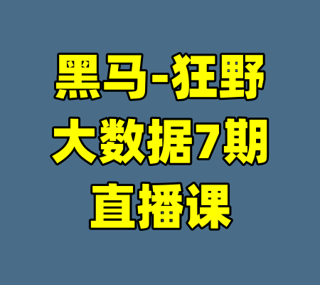 黑马-狂野大数据7期直播课-99资源站