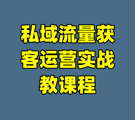私域流量获客运营实战教课程-99资源站