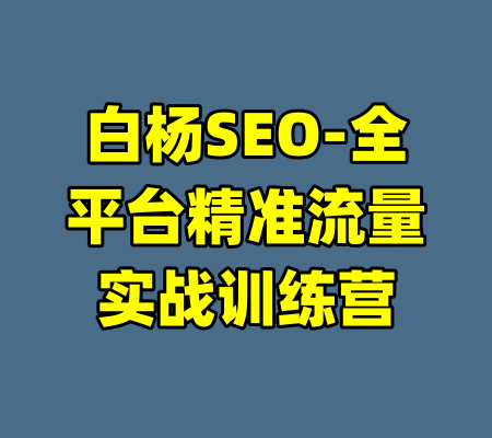 白杨SEO-全平台精准流量实战训练营-99资源站