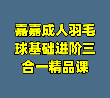 嘉嘉成人羽毛球基础进阶三合一精品课-99资源站