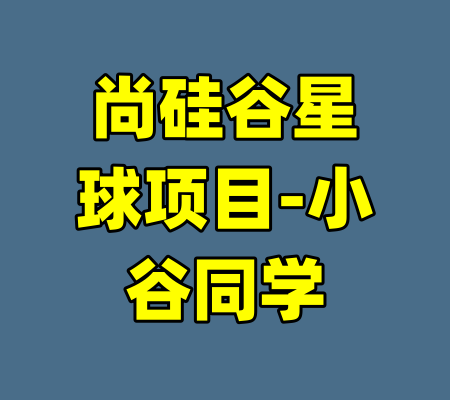 尚硅谷星球项目-小谷同学-99资源站