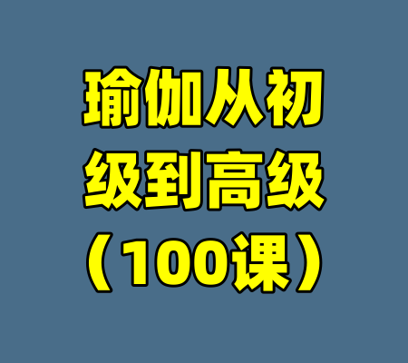 瑜伽从初级到高级（100课）-99资源站